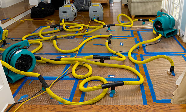 Professional Water Damage Repair technician working in Haslett, MI