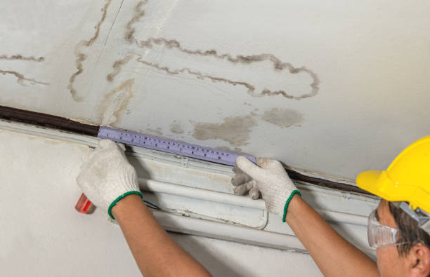 Affordable Water Damage Repair solutions in Haslett, MI